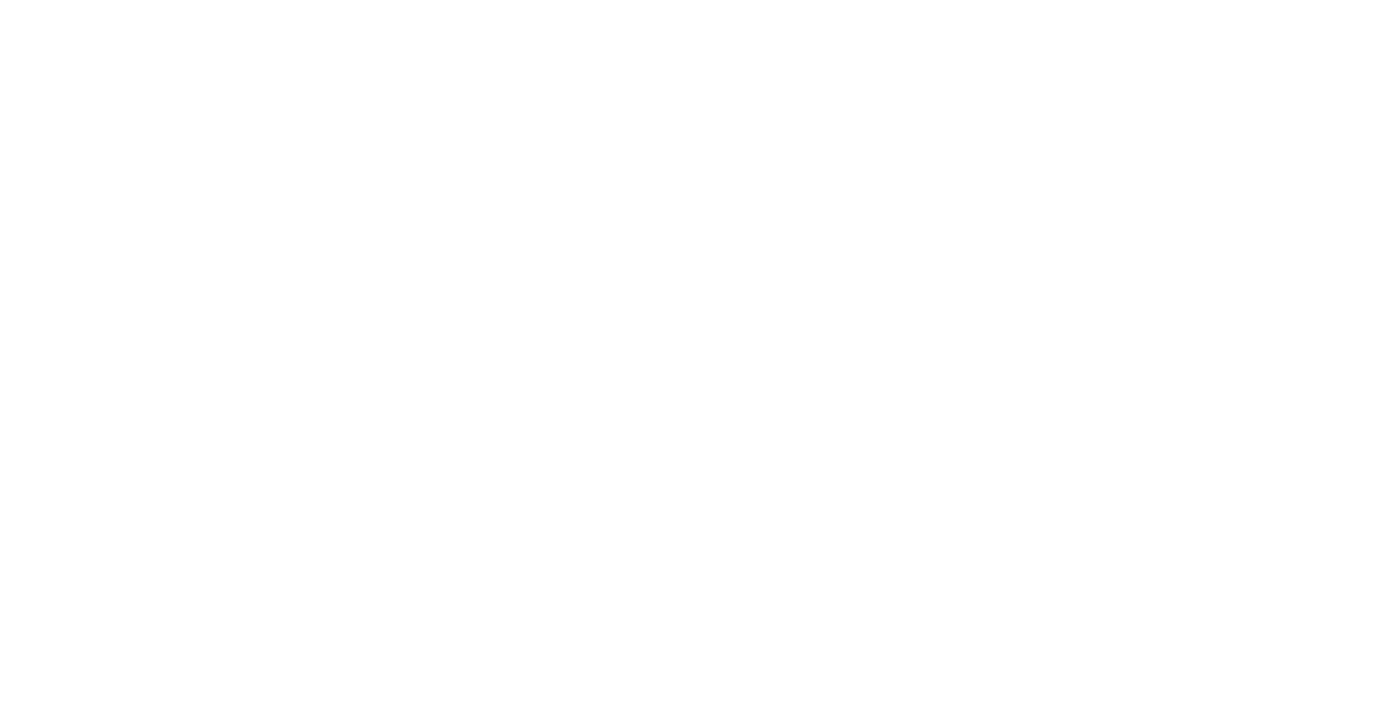 Ariat logo